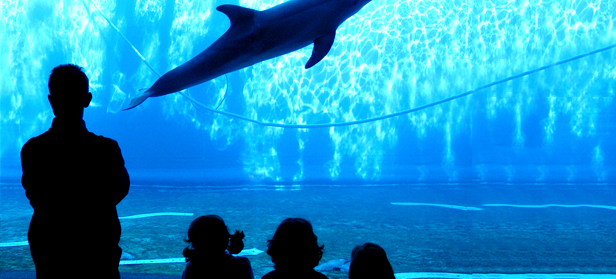 Acquario-genova